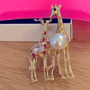 Baby and Momma Giraffe Brooch